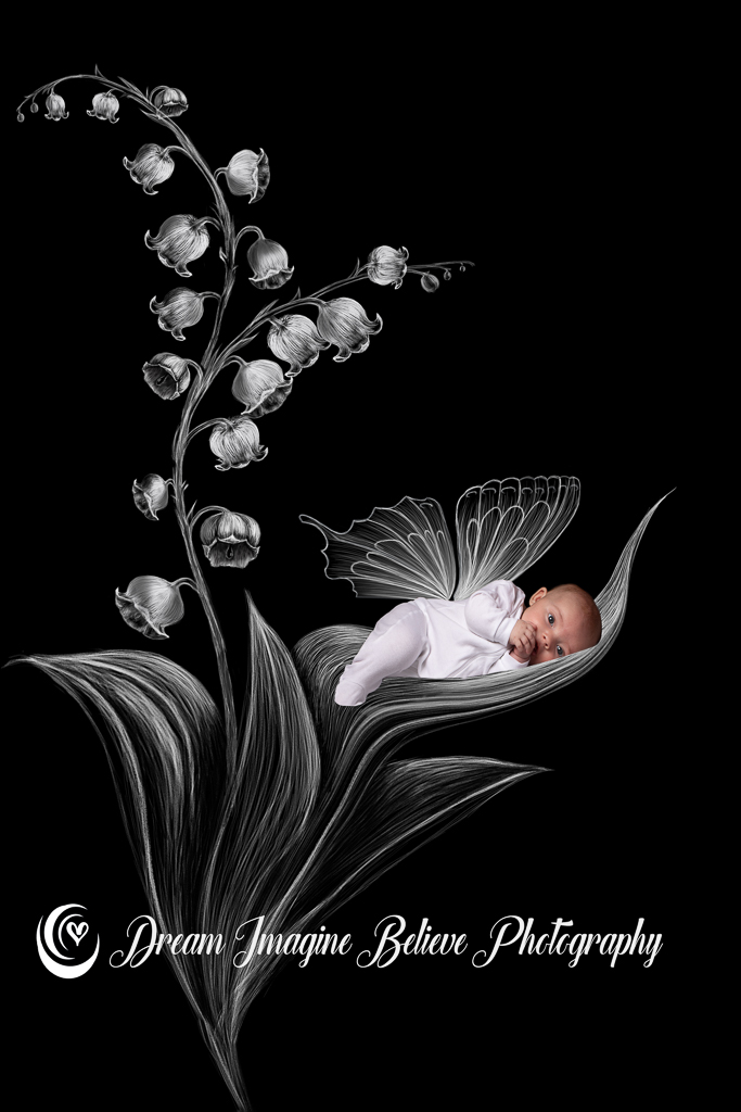 20171009-883A7947violetlilly12