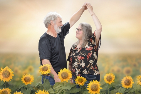 ©DIBPhoto-w_48A4813_DreamySunflowerFieldDigitalBackdrop