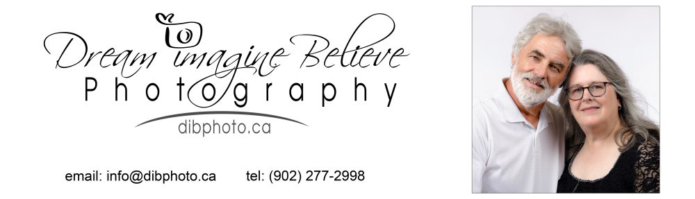 Dream Imagine Believe Photography