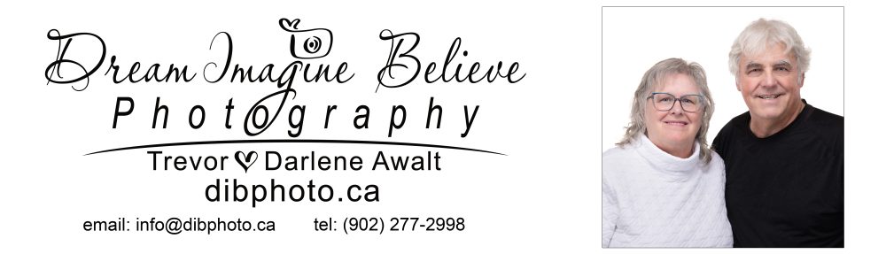 Dream Imagine Believe Photography